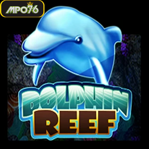 dolphinreef