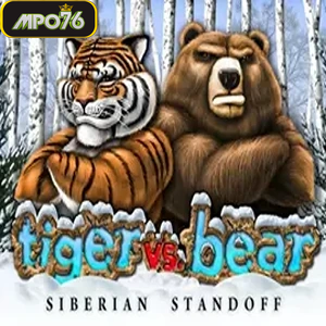 Tiger vs Bear